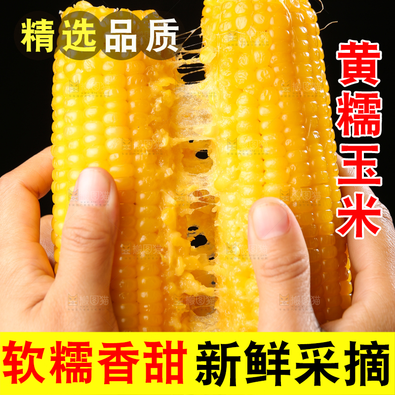 深底上的黄糯玉米