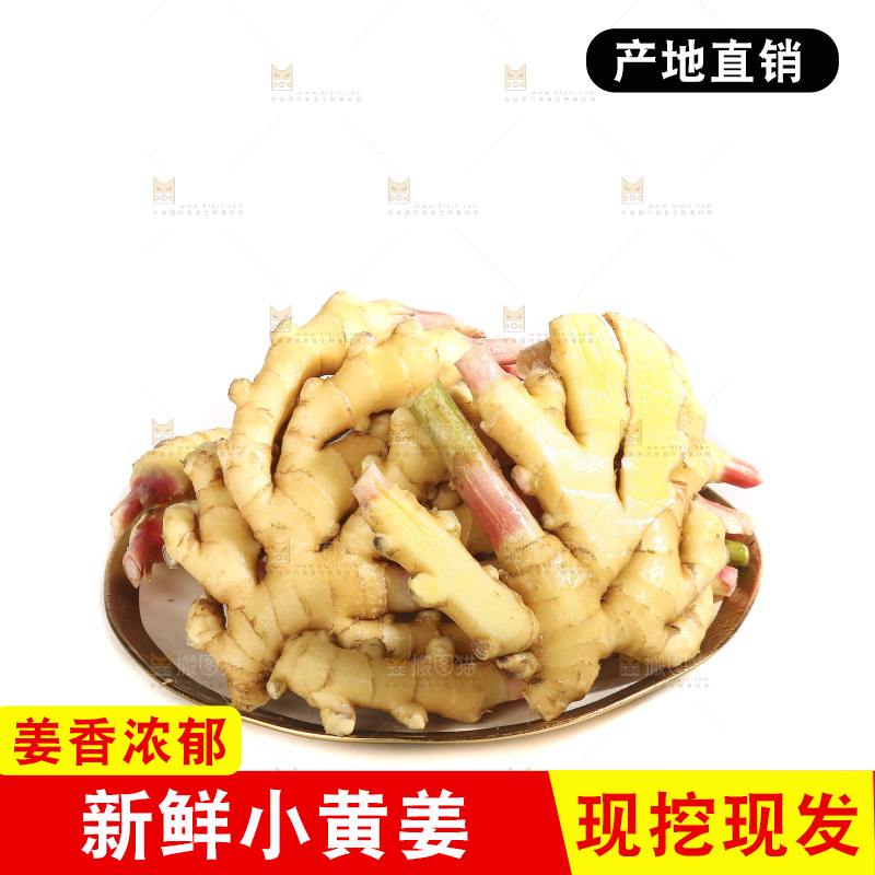 白底上的小黄姜