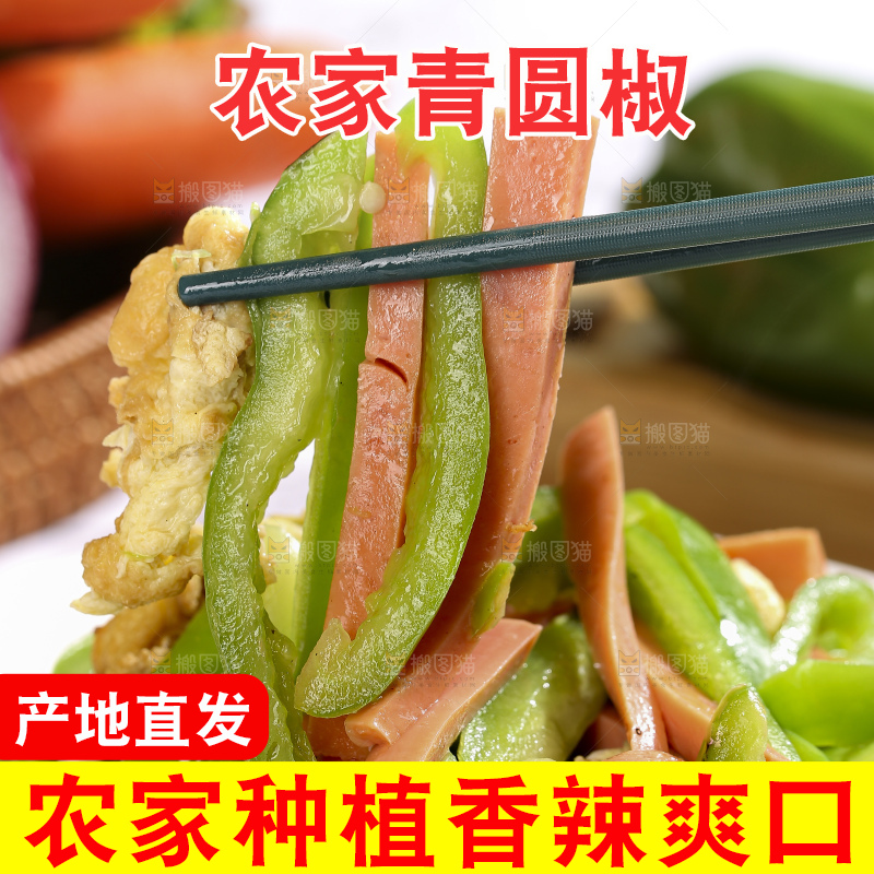 浅底上的青圆椒
