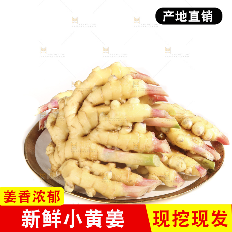 白底上的小黄姜