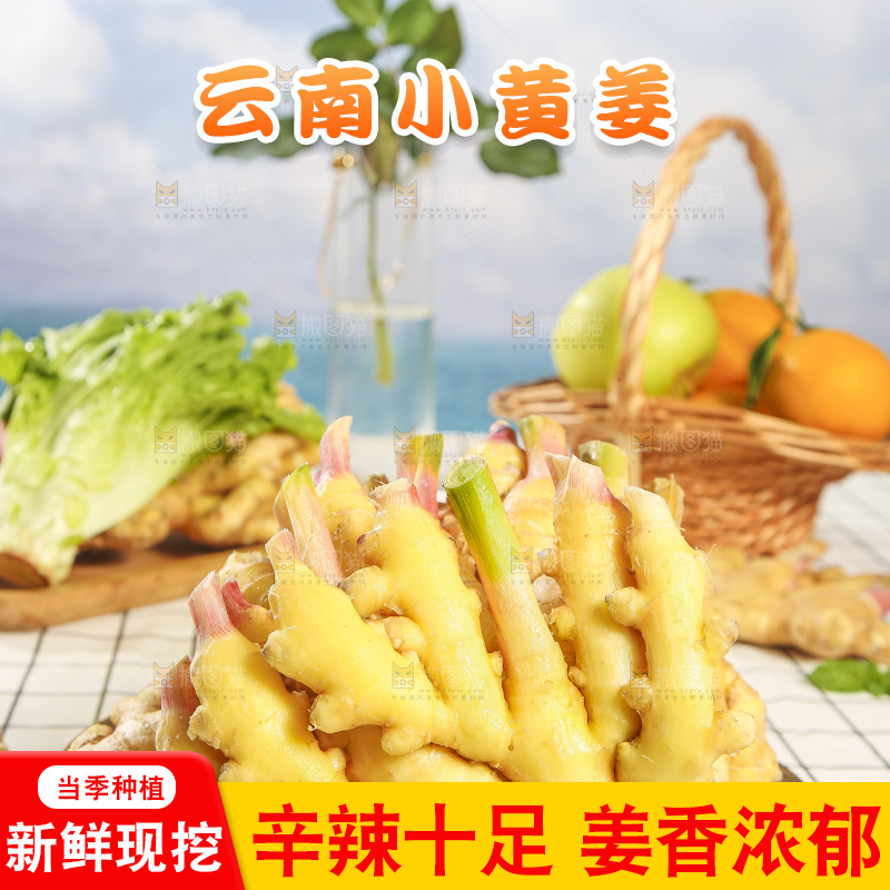 浅底上的小黄姜