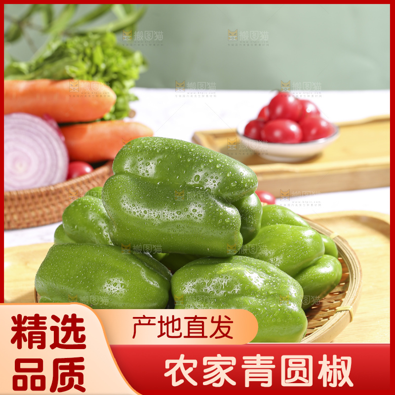 浅底上的青圆椒