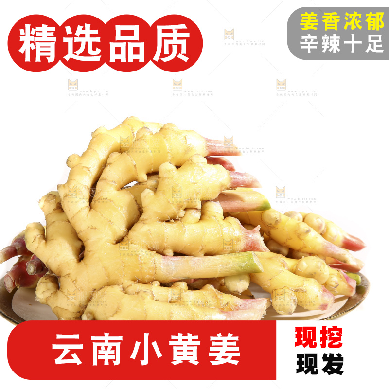 白底上的小黄姜