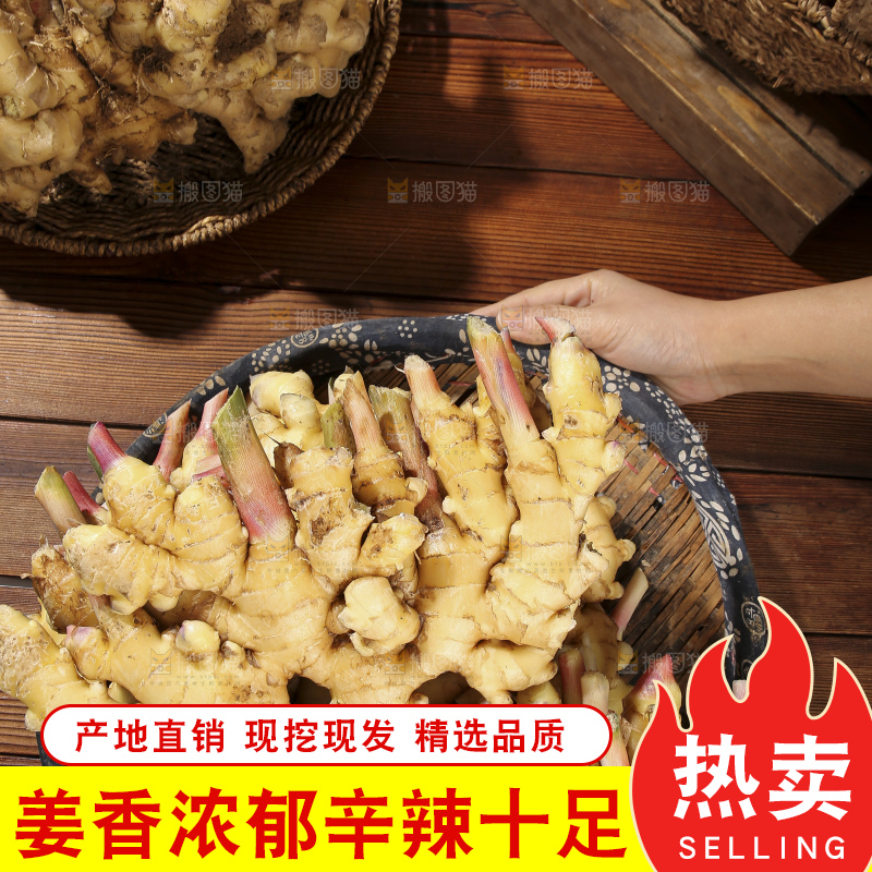 木底上的新鲜小黄姜