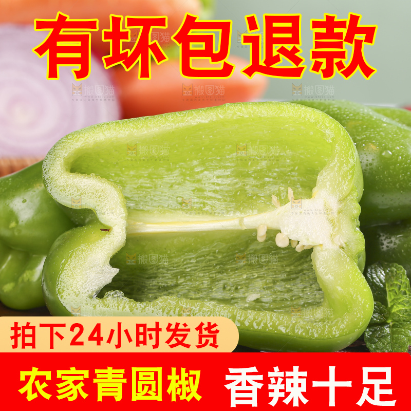 浅底上的青圆椒