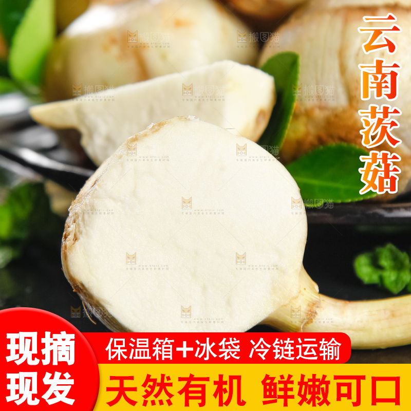 盘子里放着切开的白茨菇