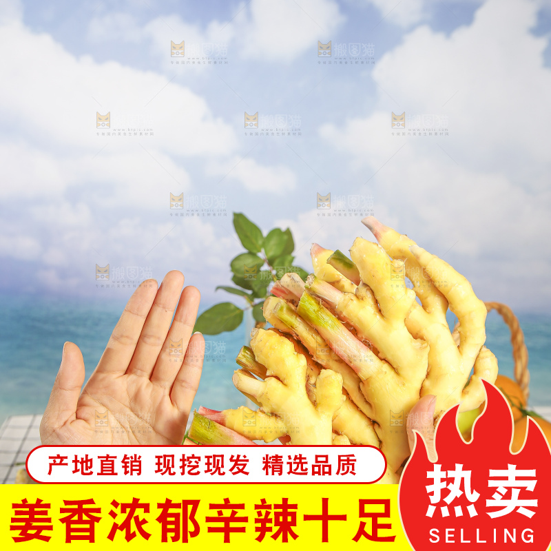 浅底上的小黄姜