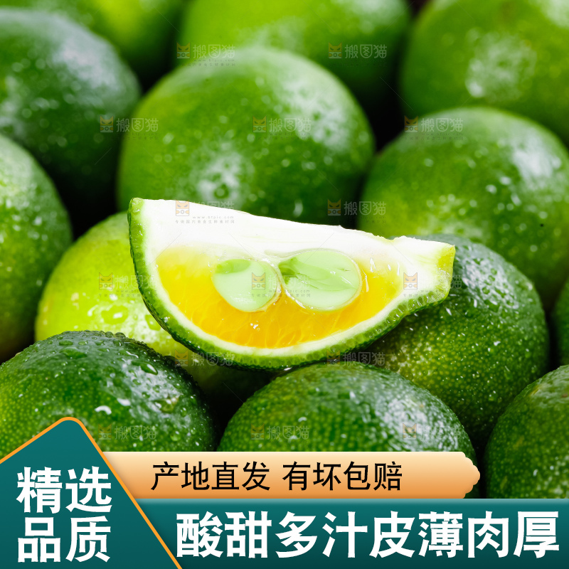 黑底上放着小金桔