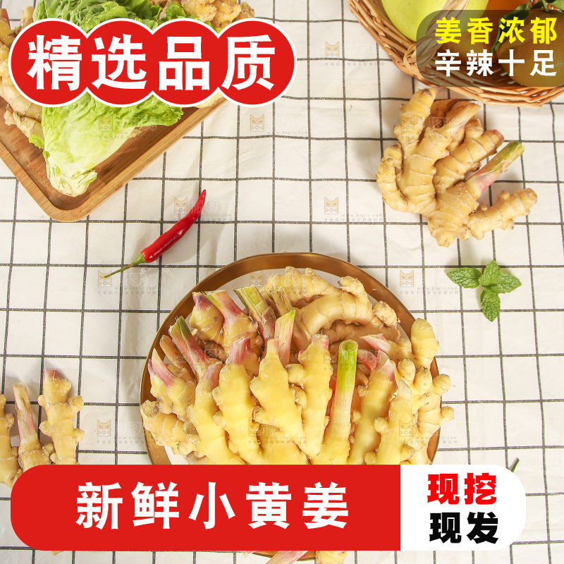 浅底上的小黄姜
