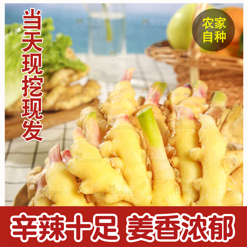 浅底上的小黄姜