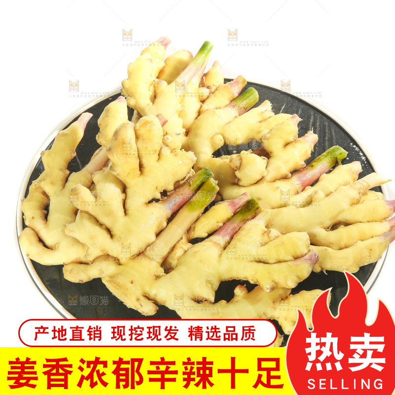 白底上的小黄姜