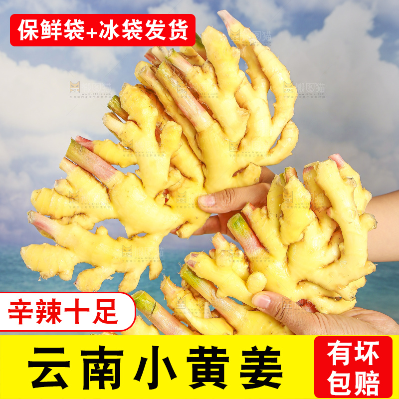浅底上的小黄姜