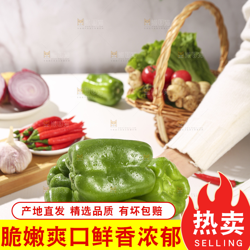 浅底上的青圆椒
