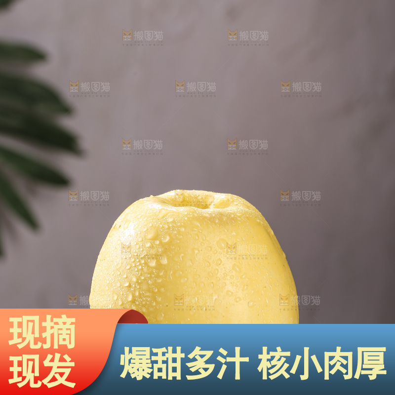 浅底上的维纳斯苹果