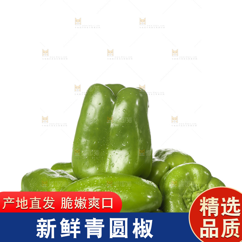白底上的青圆椒