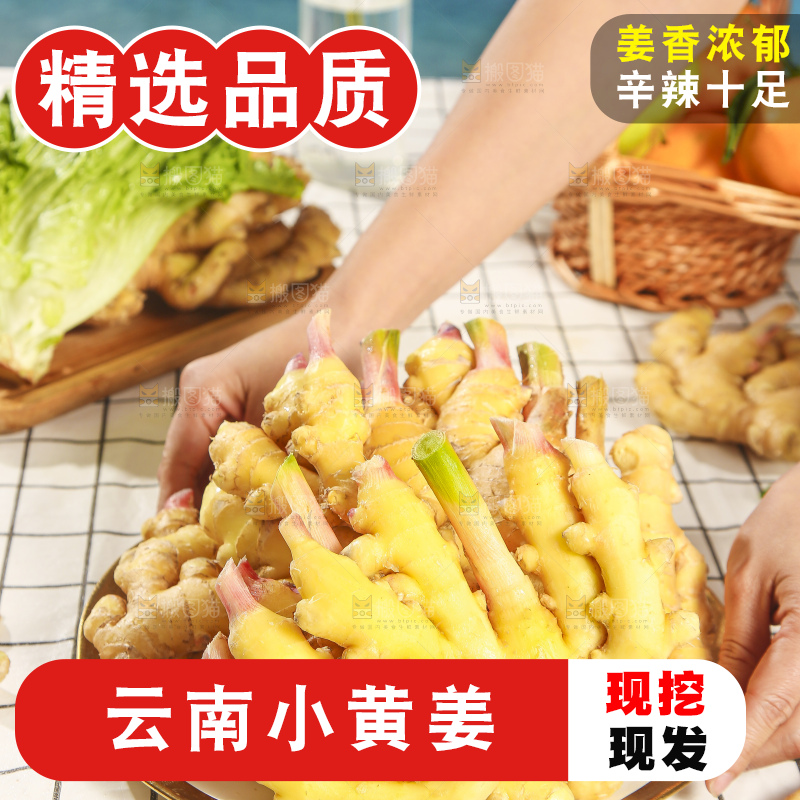 浅底上的小黄姜
