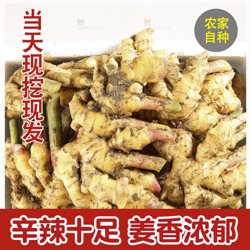 浅底上的的一箱小黄姜