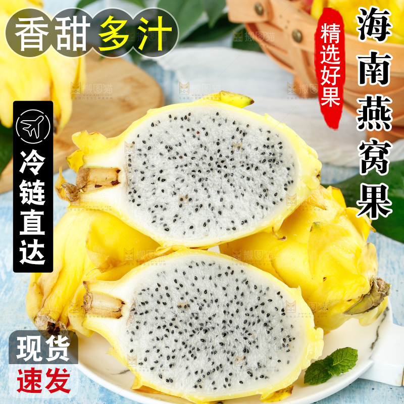 浅底上的黄皮火龙果
