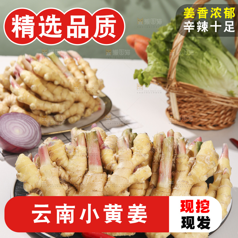 浅底上的小黄姜