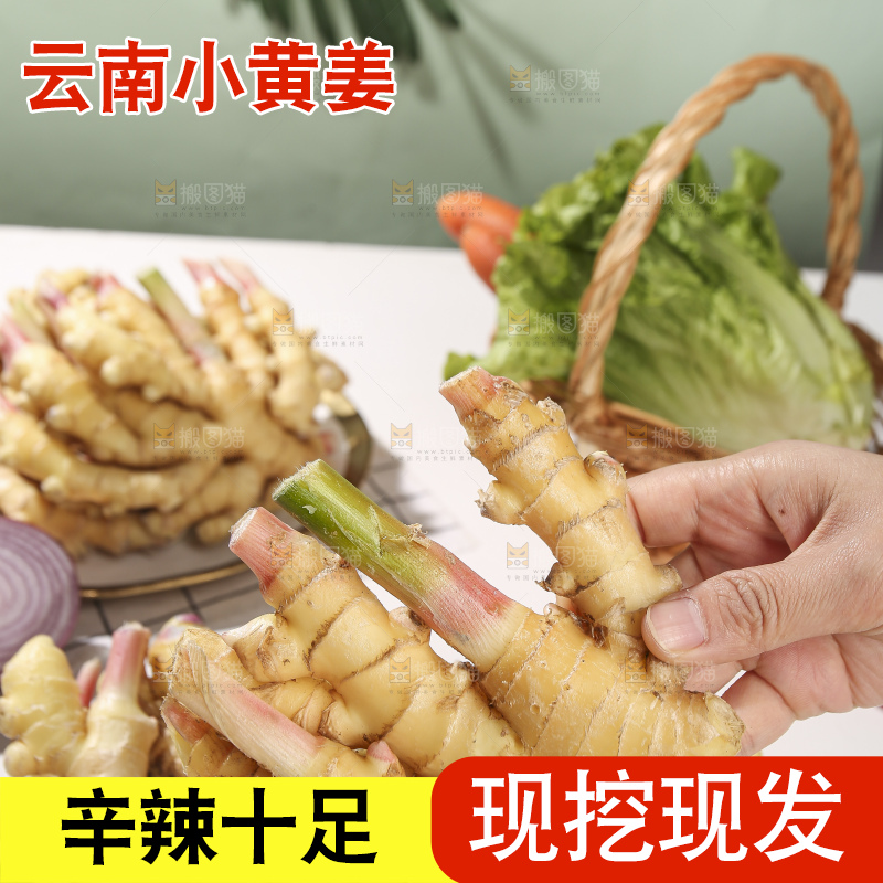 浅底上的小黄姜