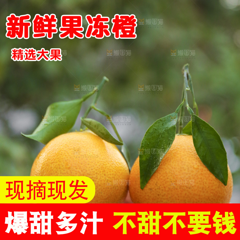 手里拿着爱媛果冻橙