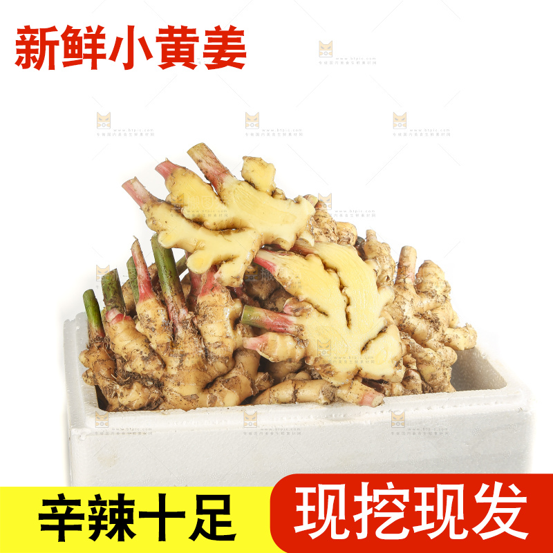白底上的小黄姜