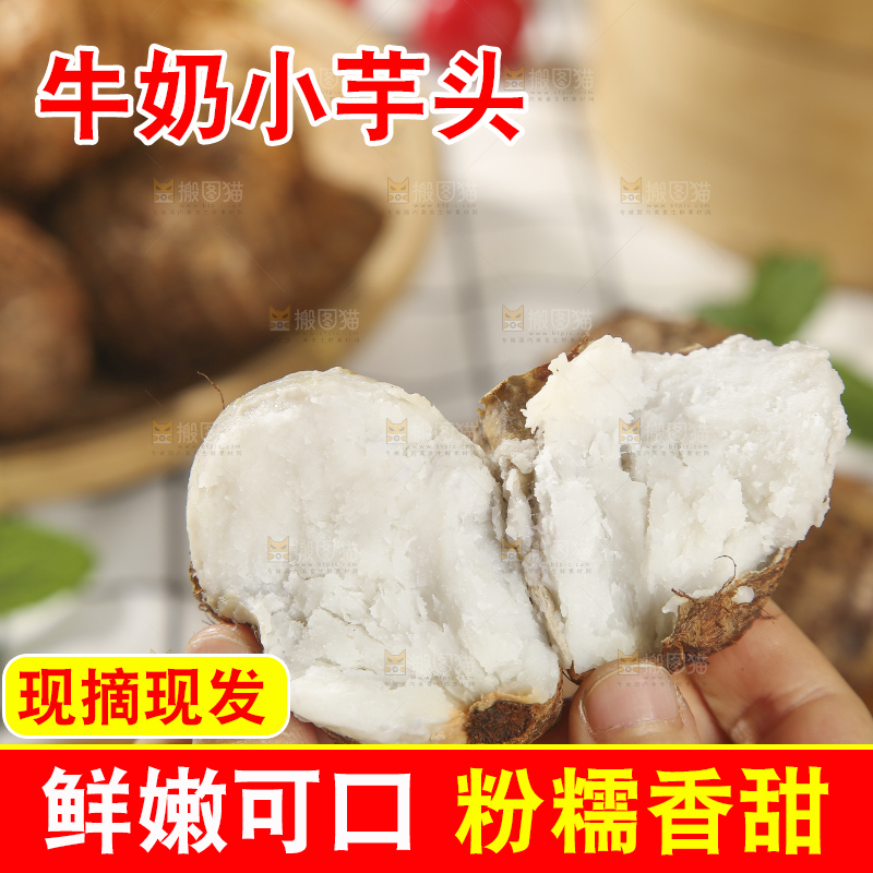 浅底上的新鲜小芋头