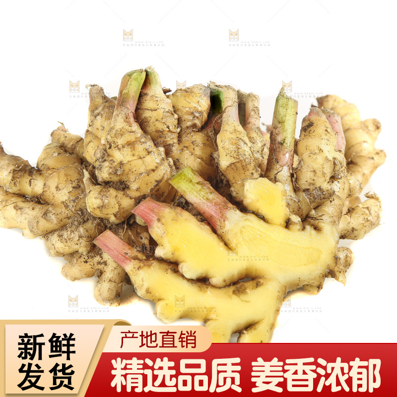白底上的小黄姜
