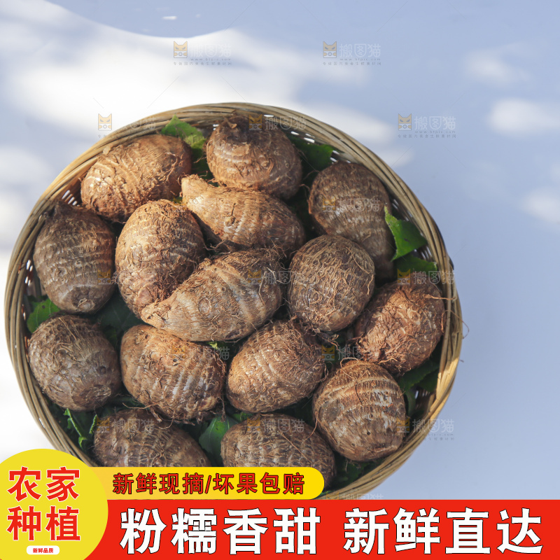 浅底上的新鲜小芋头