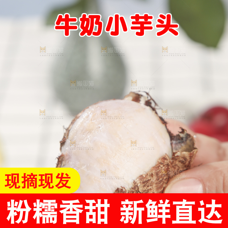 浅底上的新鲜小芋头