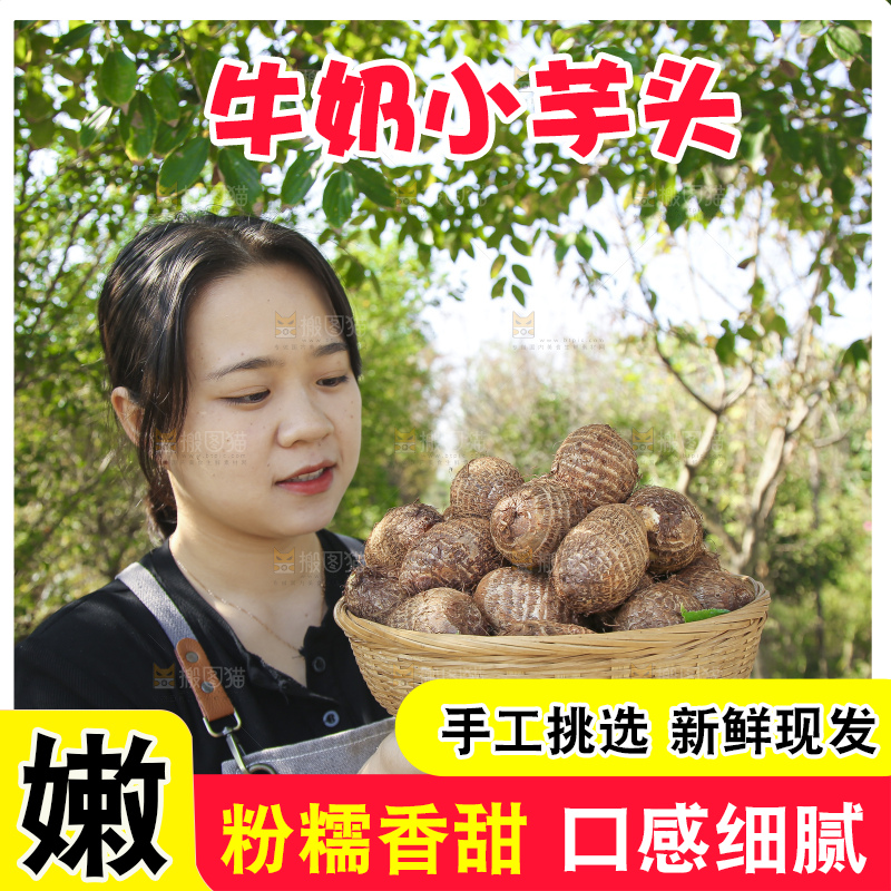 手里拿着新鲜小芋头