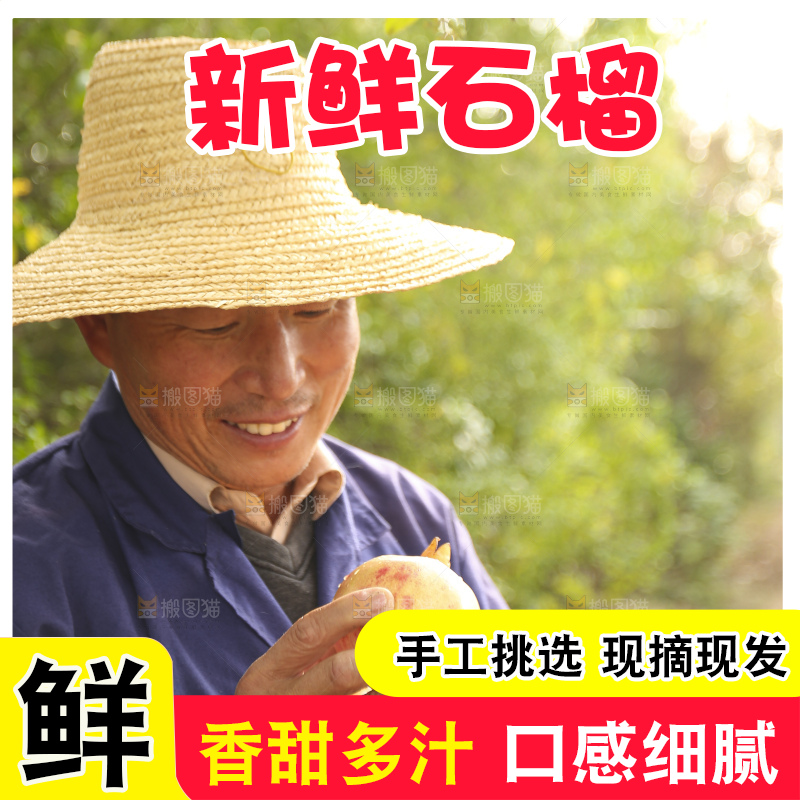 手里拿着蒙自石榴
