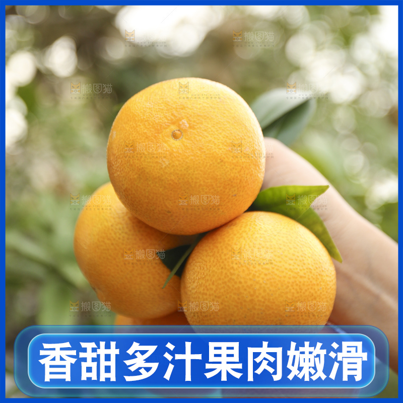 手里拿着爱媛果冻橙