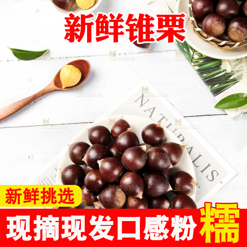 白底上放着锥栗