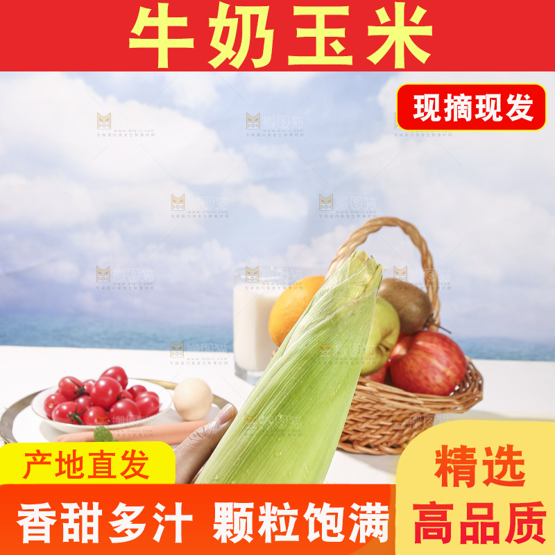 浅底上的牛奶玉米