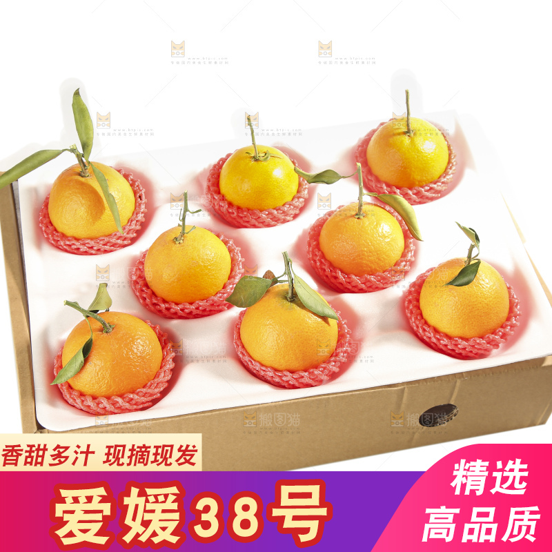 白底上的爱媛果冻橙