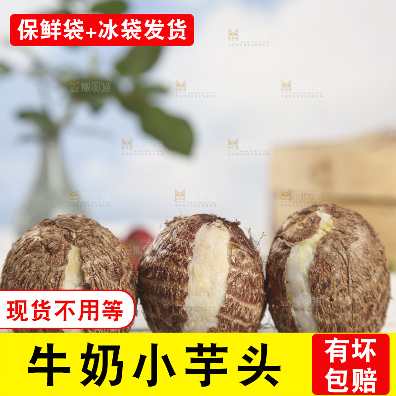 浅底上的新鲜小芋头