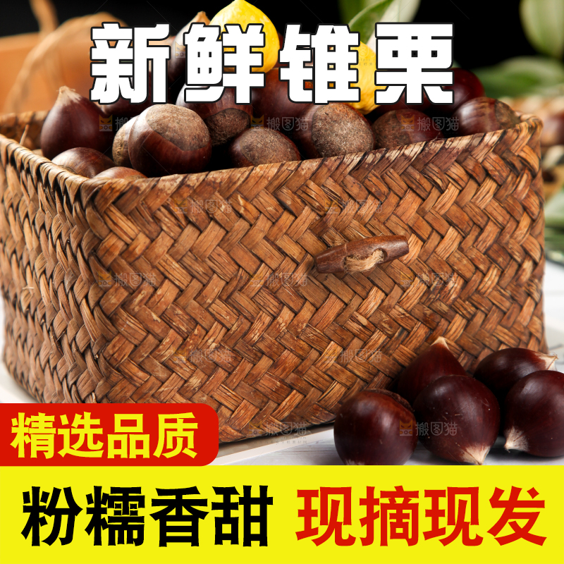 白底上放着锥栗