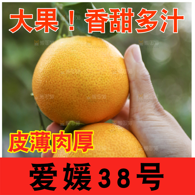 手里拿着爱媛果冻橙
