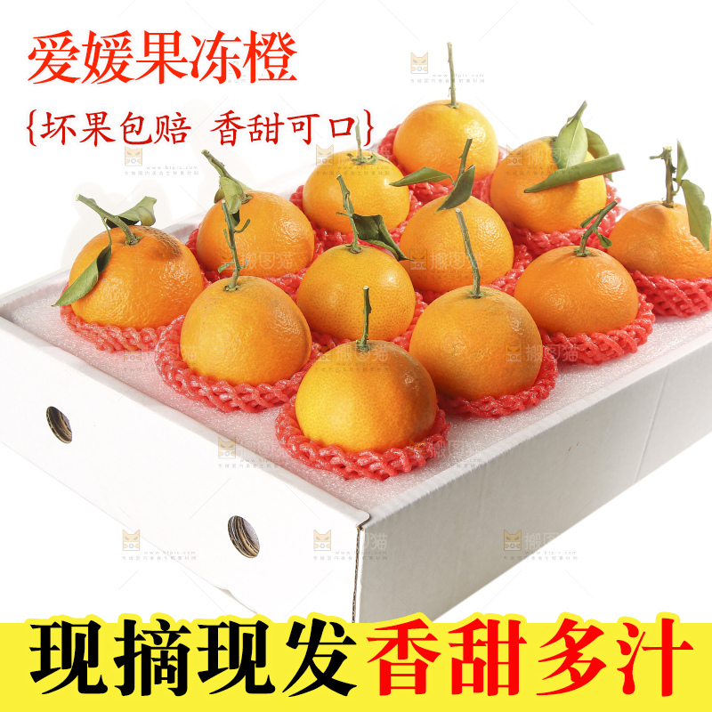 白底上的爱媛果冻橙