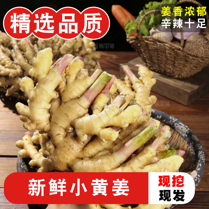 木底上的新鲜小黄姜