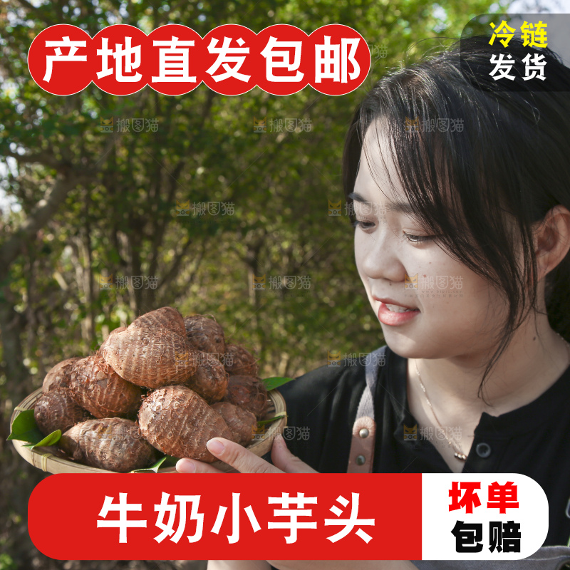 手里拿着新鲜小芋头