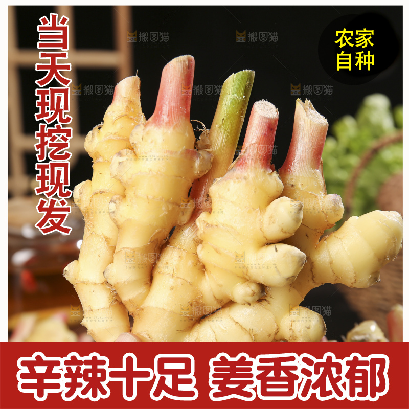 深底上的小黄姜