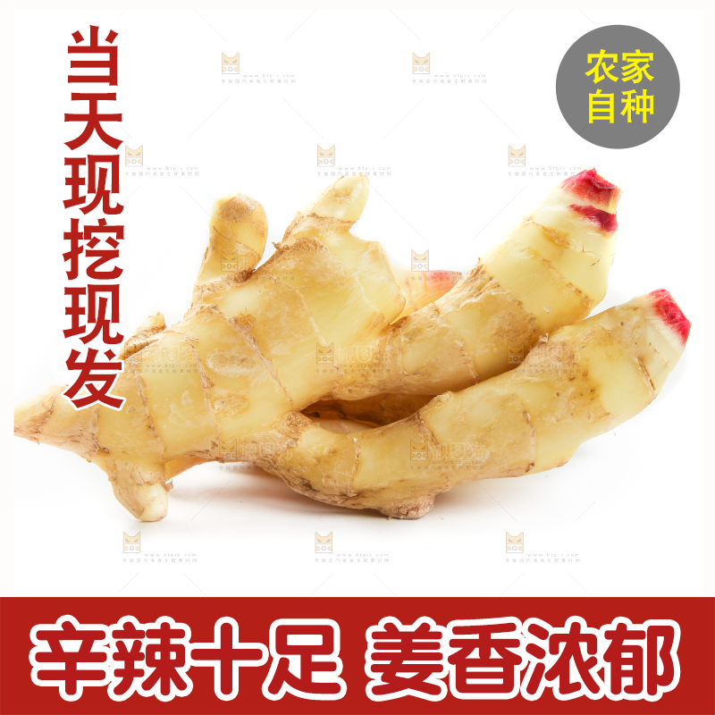 白底上摆放着生姜