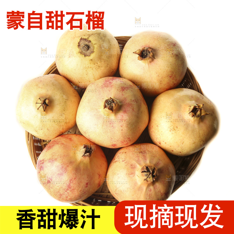 白底上的蒙自石榴