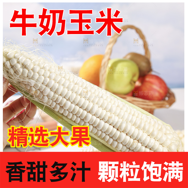 浅底上的牛奶玉米