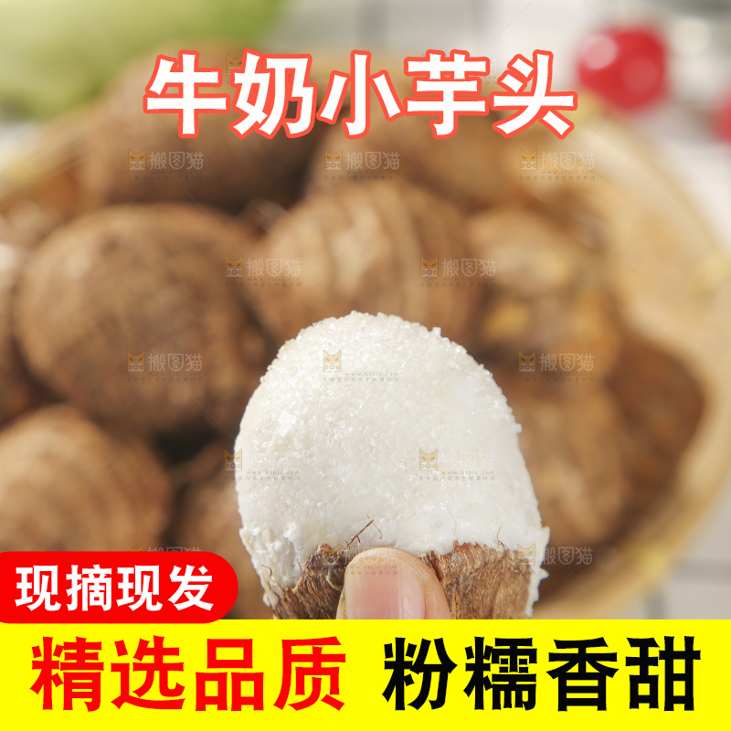 浅底上的新鲜小芋头
