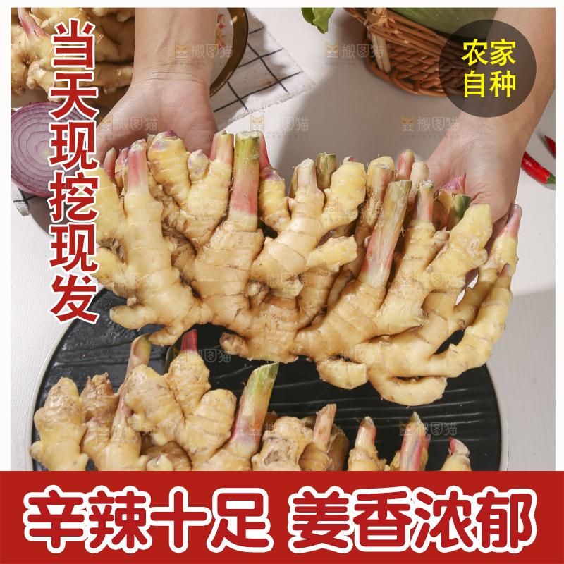 浅底上的小黄姜