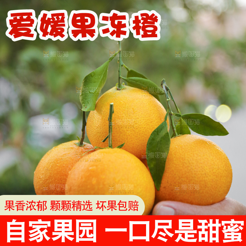 手里拿着爱媛果冻橙
