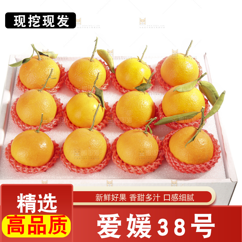 白底上的爱媛果冻橙